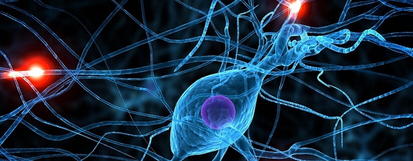 Возрастные изменения нервной системы - возможно ли ее восстановить?