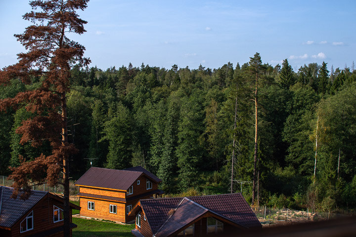 Ника в Улиткино