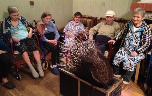 Русь в Центральном районе на улице Моховая 28