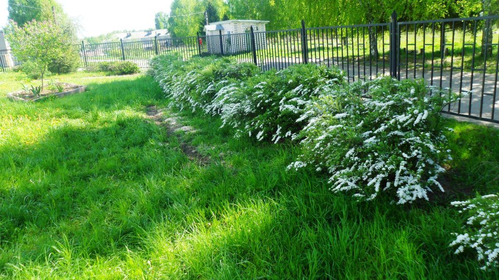 Лысковский в Кременке