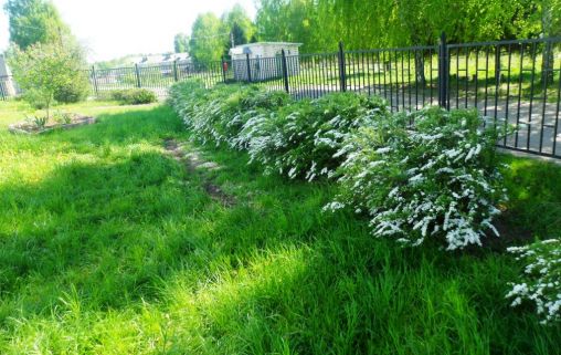 Лысковский в Кременке