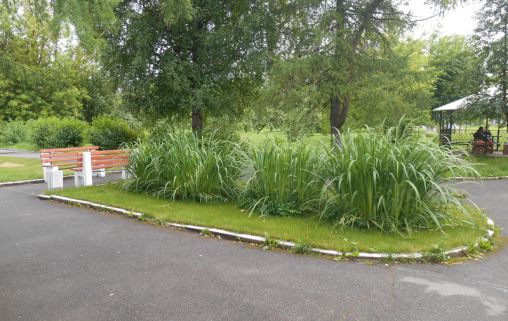 Гатчинский