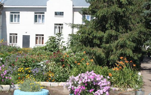 Владимировский