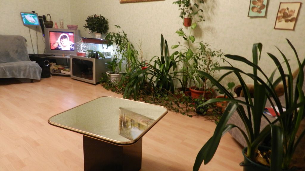 Добрые руки