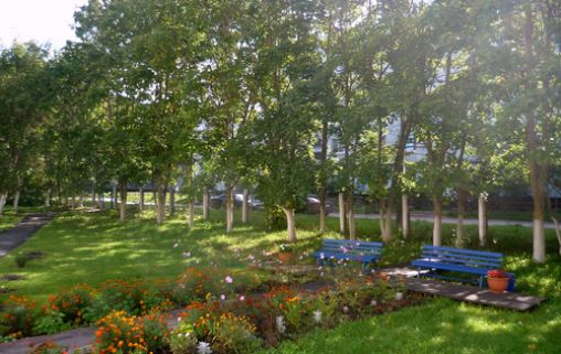 Кингисеппский