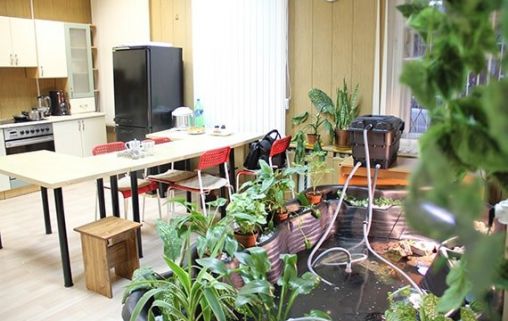 Домашний очаг