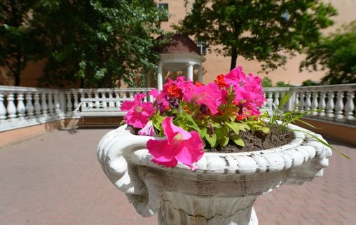 С видом на Неву