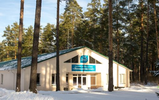 Всеволжский