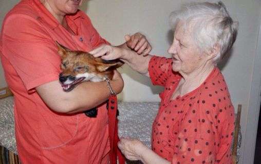 Тихая Гавань на Василевском