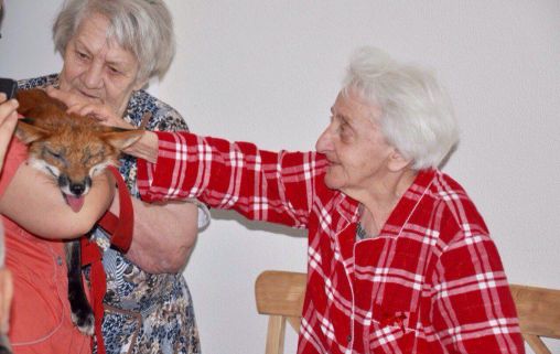 Тихая Гавань на Василевском