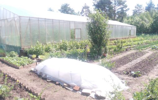 Сясьстройский