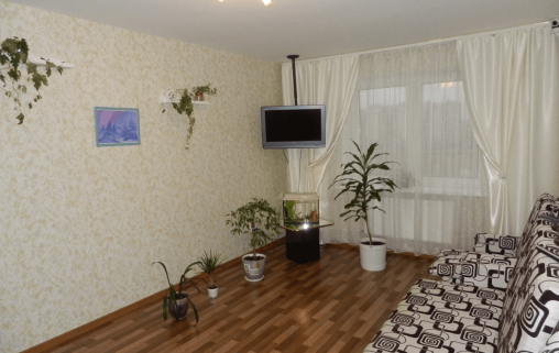 Добрые руки на на Дальневосточном проспекте