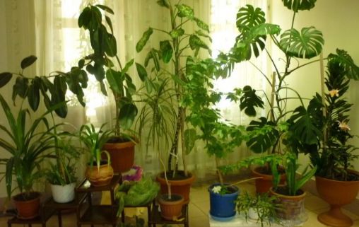 Кинель-Черкасский