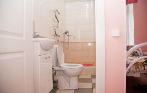 Ропша в Ленинградской области