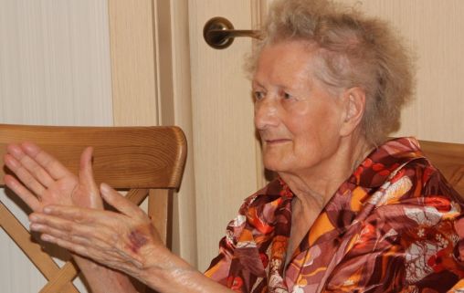  Петровская Мельница в Красном селе в Красносельском районе Санкт-Петербурга