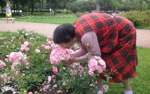 Тихая Гавань