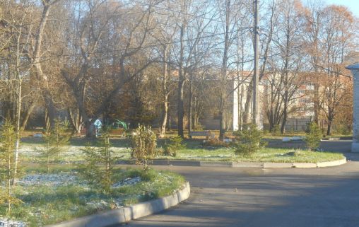 Гатчинский